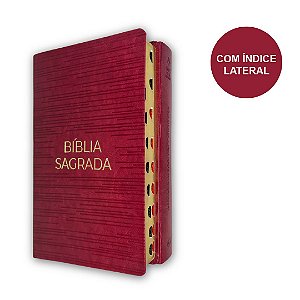 Bíblia Sagrada | NVT | Letra Gigante | Luxo Vermelha | Geográfica
