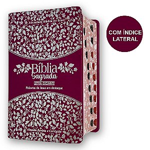 Bíblia Sagrada Letra Gigante Tijolinho De Bolsa Índice Pink