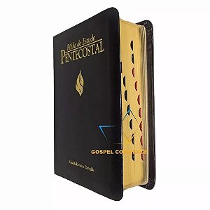 Bíblia De Eestudo Pentecostal Pequena Preta - Cpad