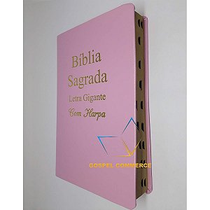 Bíblia Sagrada Letra Gigante Plus Promessa Rosa