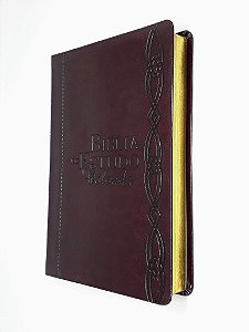 Bíblia De Estudo Colorida Luxo Vinho - Letra Grande- Bv Books