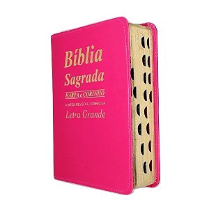 Bíblia Sagrada Tijolinho Letra Grande  - Pink
