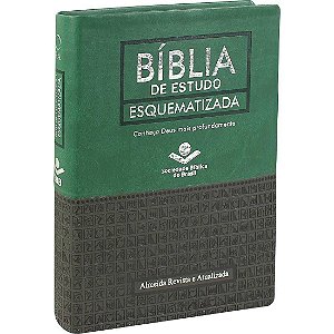 Bíblia de Estudo Esquematizada Verde Com Cinza Escuro - Sbb