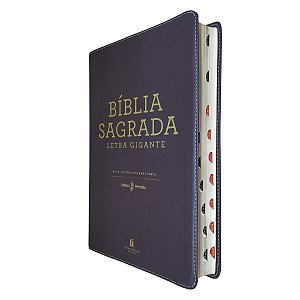Bíblia Sagrada Letra Gigante | NVI Com Índice | Luxo Marrom