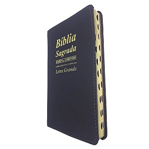 Kit 10 Bíblia Sagrada Letra Grande Preta Com Harpa E Corinhos