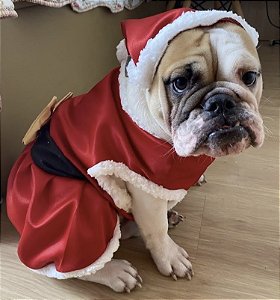 Vestido de Natal - kit com gorro