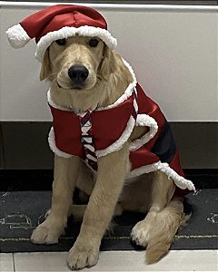 Roupa de Natal - kit com gorro