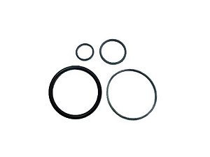 Reparo Cilindro Acionamento Planetaria Caixa Cambio S/ Re Para Sca T113 (1321420)