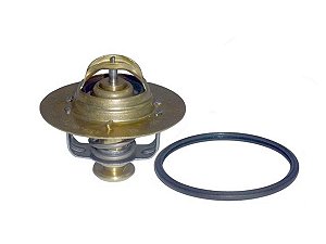 Valvula Termostatica 82 Graus Ford F4000/F250/F350 (BG5X8575AA)