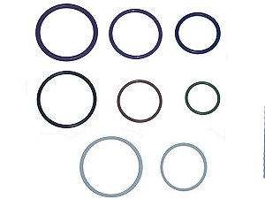 Kit Completo Bico-Inj. /Solenoide (8 Itens) Para Sca TODOS ELETRONICOS SERIE 4 (1398810)