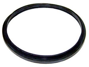 KIT Anel Vedacao Bomba D'Agua/Carcaca Termostato Para Sca CAM/ONIB.TR112/142/SK112/113-FKR- (278335)