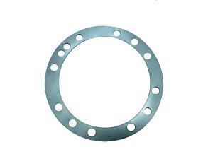 KIT Anel Espacador 0,25MM Para Sca SERIE 3/4 PGR (1307560)