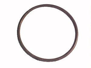 KIT Anel Filtro Rotativo 59X3MM Para Sca P-93 R-143 F-K-R-T-L-113 (332119)