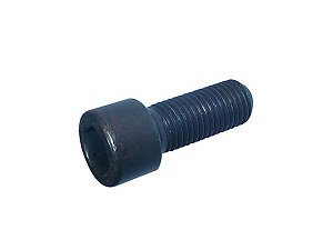 KIT Parafuso Planetaria 12X1,5X30 Cab.Alta 608 (000912012047)