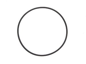 KIT Anel Maior Filtro Rotativo 131,2X3,53 Para Sca TODOS SERIE 4 PGR (211818)