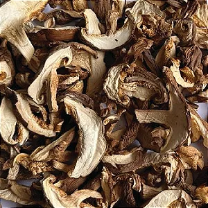 Cogumelo Shitake Laminado
