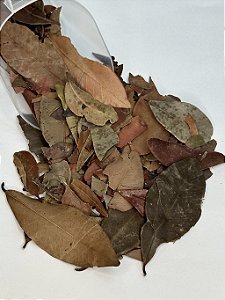 Insulina