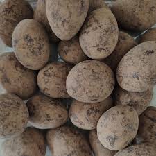 Chocotâmara - Veganutris
