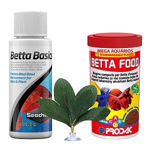 Kit peixe Betta ração Prodac 15g + Seachem Betta Basics + folha descanso