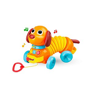 Brinquedo Cachorro Sanfona Infantil Sons e Música - ZoopToys