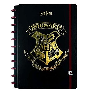 Caderno Inteligente Harry Potter Hogwarts 80fls - Grande