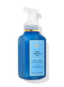 Sabonete Líquido Espumoso para Mãos, Crisp Morning Air, 259mL, Bath & Body Works