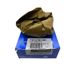 Anel de Ressalto 7167-975E