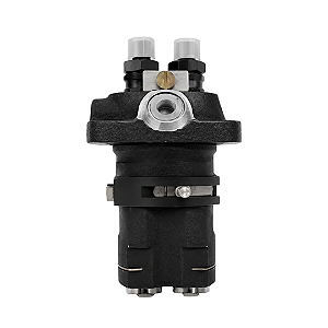 Bomba Injetora Motor Agrale 4200 M790 0414182021