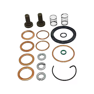 Jogo de Reparo F1000 / F4000 - Motor 229 9401081131