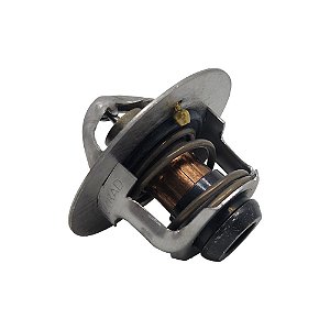 Válvula Termostática Serie 4/6 BT 3802968