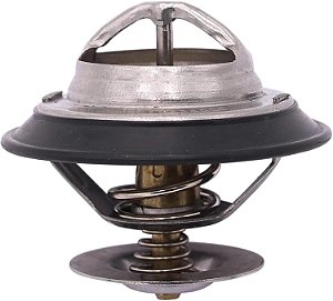 Válvula Termostática ISC 4936026