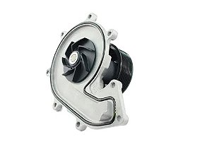 Bomba D'agua Serie 3.8 ISF Delivery VW 5288908