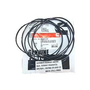 Anel de Camisa Motor Serie C Mecânico ISC Eletrônico 3907177-GP