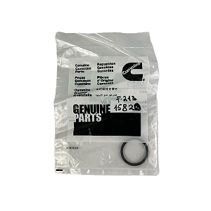 Anel De Vedação Bujão Carter ISF 4995185-GP