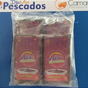 POLPA DE AÇAÍ 500G