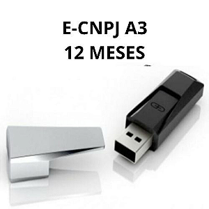 e-CNPJ-A3-TOKEN-12 MESES