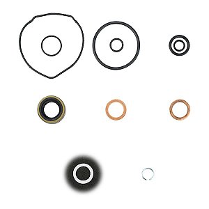 Reparo Bomba De Direção Toyota Camry / Corolla 2002/... Celica 2000 - 2003