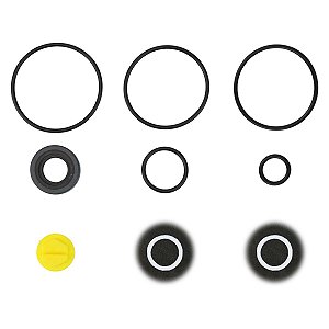 Reparo Bomba Direção Ford Escort Zetec / Fiesta / Focus / Ka - HDB