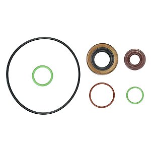 Reparo da Bomba de Direção Hidráulica Fiat Palio / Siena / Punto / Idea E-torq - 7612914918