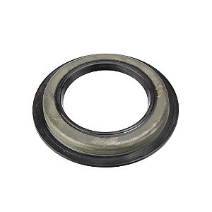 Retentor Caixa Direção Hidráulica Ford Cargo Vw Constellation 48x28x5