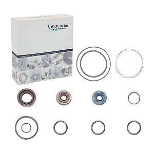 Reparo da Bomba de Direção Hidráulica Zf Iveco Eurocargo / Stralis - 8695955116