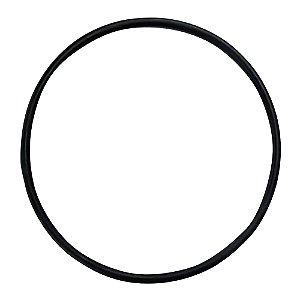 Anel da bomba Agua Fiat Ducato 1998 A 2017