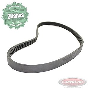 Correia Alternador Poly-v Peugeot Citroen Renault 6pk1663