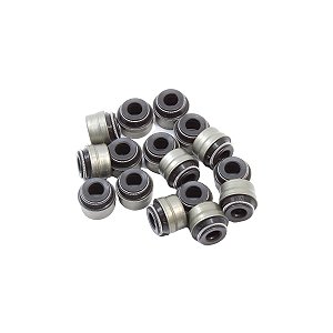 Jogo Retentor Haste Válvulas Vw Gol Fox Parati Polo Golf - 036109675C