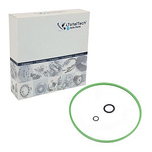 Kit Anéis de Vedação Reparo da Bomba de Vácuo Fiat Jeep