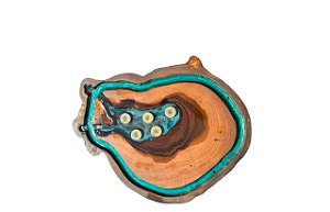 Tábua bolacha cartucho