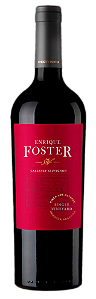 Enrique Foster Single Vineyar Cabernet Sauvignon 750 ml