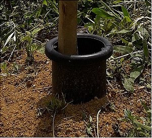 Limitador Formigas Cortadeiras Kit Com 100 Unidades