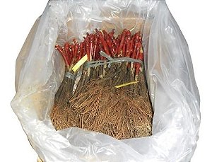 Kit 15 Mudas 5 Uvas + 5 Oliveiras + 5 Goiabas + 15 Adubos