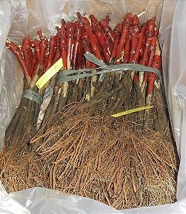 Kit - 3 Mudas De Uva + 3 Adubos Orgânico + Manual